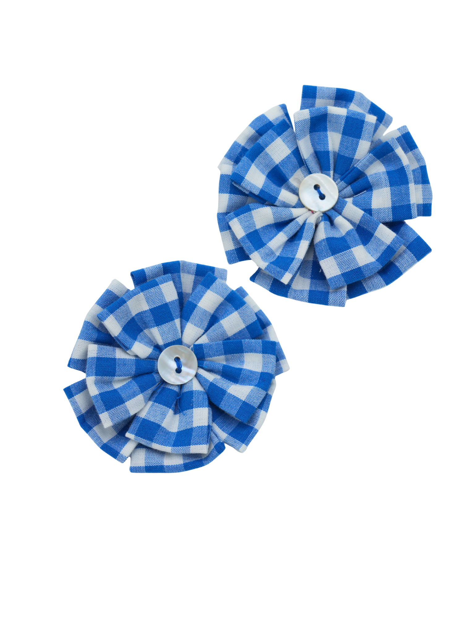 Set of Two Blue Hair Clips