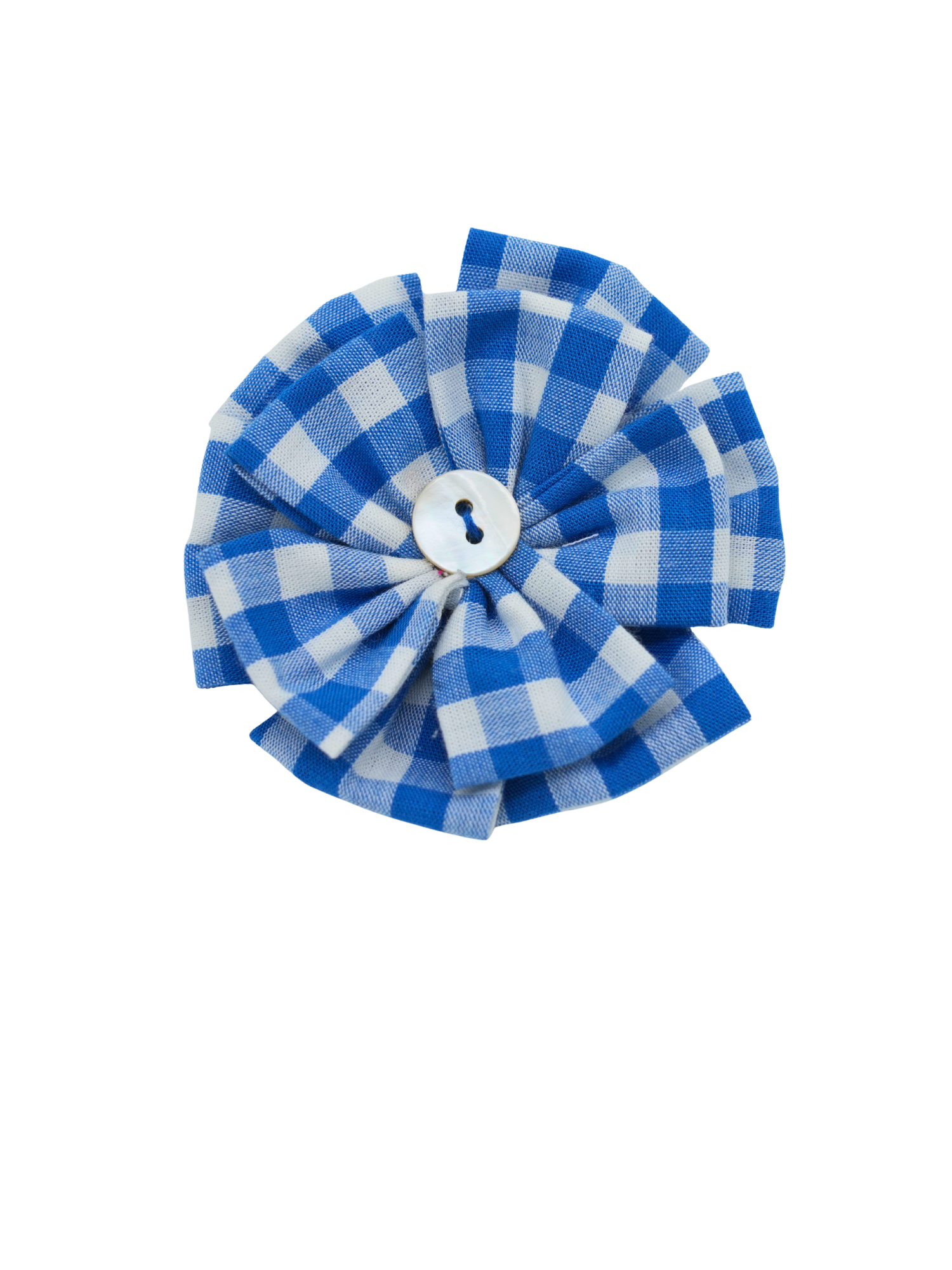 Set of Two Blue Hair Clips