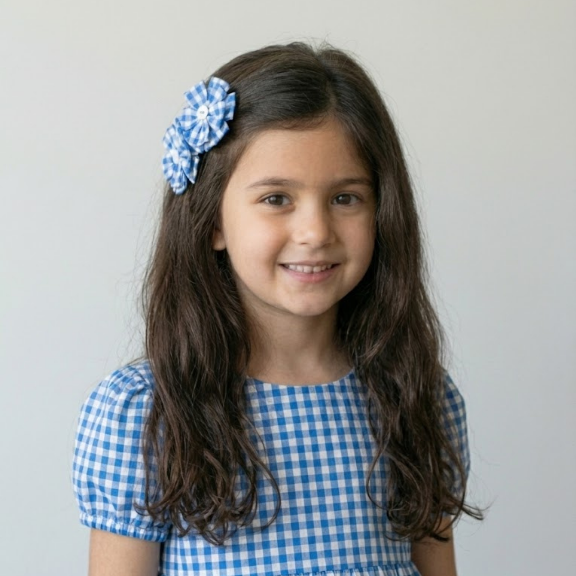 Set of Two Blue Hair Clips