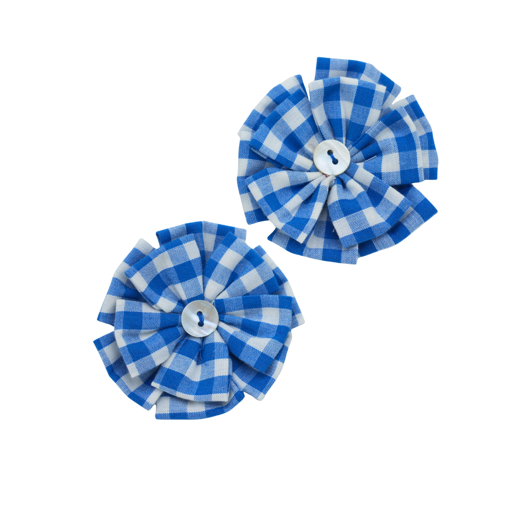 Set of Two Blue Hair Clips